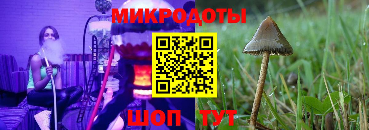 Псилоцибиновые грибы прущие грибы Губкинский